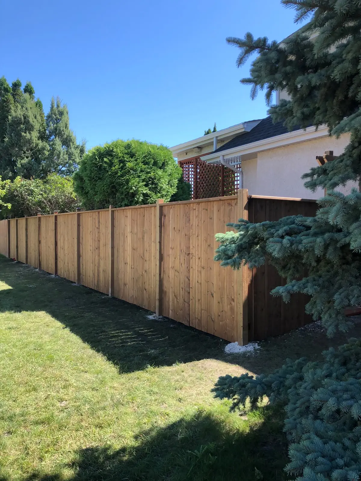 New wood privacy fence with trim running along a landscaped backyard